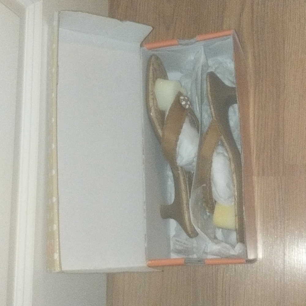 Lindsay Phillips Switch Flops Sandals